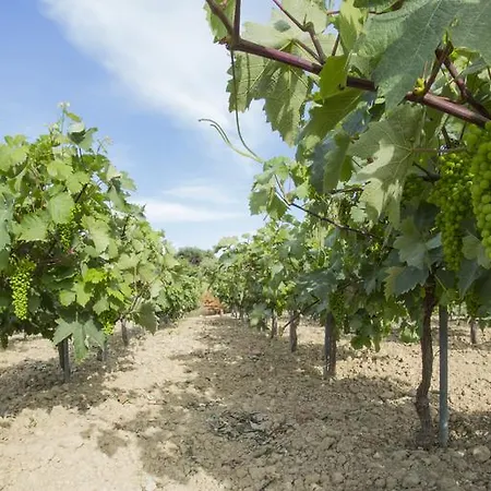 アパート Agnanti