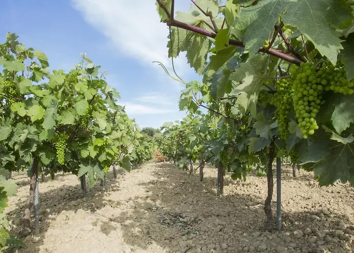 アパート Agnanti